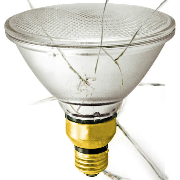 SYLVANIA 15558 - Shatter Resistant - 250 Watt - PAR38 Image