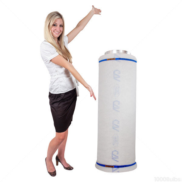 Can-Lite 358594 - Carbon Filter - 10 in. Image