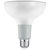 950 Lumens - 15 Watt - 2700 Kelvin - LED PAR38 Lamp Thumbnail