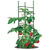 Ultomato Plant Cage - 5 ft. Thumbnail