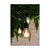 48 ft. Patio String Lights - A19 - Black Wire - 15 Sockets Thumbnail