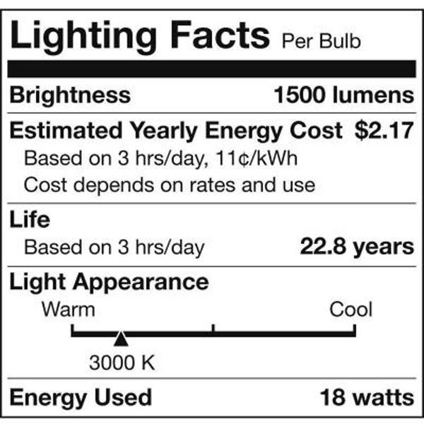 LED - PAR38 - 18 Watt - 1500 Lumens Image