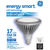 Natural Light - 710 Lumens - 17 Watt - 2700 Kelvin - LED PAR38 Lamp Thumbnail