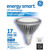 Natural Light - 670 Lumens - 17 Watt - 2700 Kelvin - LED PAR38 Lamp Thumbnail