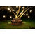 48 ft. Patio String Lights - G16 - Black Wire - 15 Sockets Thumbnail