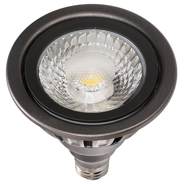 LED - PAR38 - 17 Watt - 1365 Lumens Image