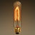 40 Watt - Vintage Antique Light Bulb - T10 Tubular Style Thumbnail