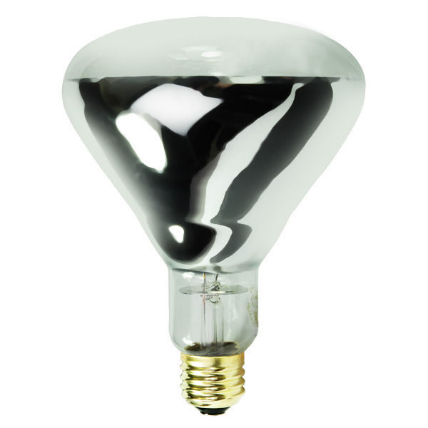 Satco S4366 - 375 Watt - R40 - IR Heat Lamp Image