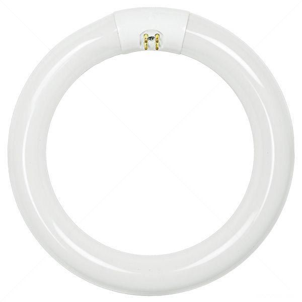 Philips 391169 - FC8T9/CW PLUS - 22 Watt Image