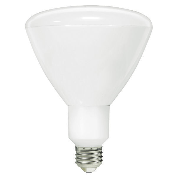 LED R40 - 17 Watt - 1230 Lumens Image
