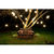 48 ft. Patio String Lights - S14 - Black Wire - 15 Sockets Thumbnail