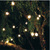 15 ft. Patio String Lights - G50 - Black Wire - 15 Sockets Thumbnail