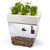 Aquaponics Starter Kit - 3 Gallon Thumbnail