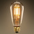 LED Edison Bulb - Squirrel Cage Filament - 3.5 Watt Thumbnail