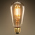 LED Edison Bulb - Squirrel Cage Filament - 3.5 Watt Thumbnail
