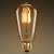 LED Edison Bulb - Squirrel Cage Filament - 3.5 Watt Thumbnail