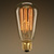 40 Watt - Edison Bulb - 5.25 in. Length Thumbnail