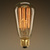 40 Watt - Edison Bulb - 5.4 in. Length Thumbnail