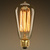 60 Watt - Edison Bulb - 5.2 in. Length Thumbnail