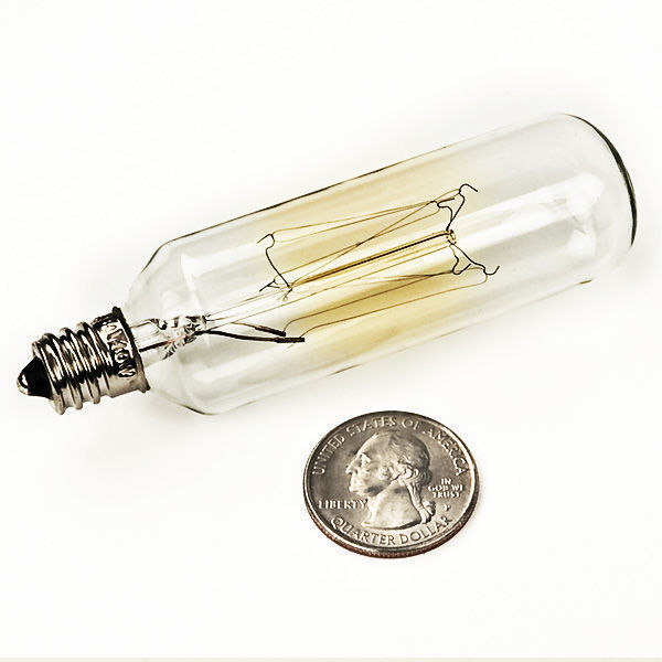 40 Watt - Vintage Antique Light Bulb - T25 Tubular Style Image