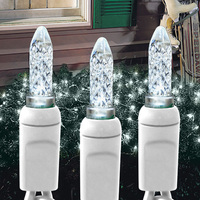 (100) Bulbs - LED - Pure White M5 Net Lights - 4 ft. x 6 ft. - White Wire - 120V