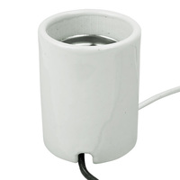 Mogul Base Socket - White Porcelain - 12 in. Lead - No. 14 AWG - 1500 Watt Maximum - 600 Volt Maximum - PLT 48-2610-99