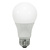 LED A19 - 8 Watt - 60 Watt Equal - Halogen Match Thumbnail