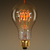 25 Watt - Vintage Light Bulb - 5.25 in. Length Thumbnail