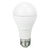 LED A19 - 6 Watt - 40 Watt Equal - Cool White Thumbnail