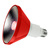 1175 Lumens - 9 Watt - LED PAR38 Lamp - Red Thumbnail