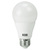 LED A19 - 7 Watt - 40 Watt Equal - Daylight White Thumbnail