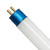 PowerVEG Blue T5 - Fluorescent Grow Bulbs Thumbnail