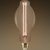 LED BT23 Bulb - Color Matched For Incandescent Replacement Thumbnail