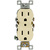 15 Amp - Duplex Receptacle Thumbnail