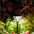 Solar LED Garden Lights Thumbnail
