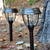 Solar LED Garden Lights with Dual Color Option Thumbnail