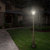 Solar Royal Lamp Post with Single Lamp Head Thumbnail