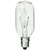 40 Watt - Clear - Incandescent T8 Light Bulb  Thumbnail