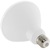 Natural Light - 1400 Lumens - 19 Watt - 2700 Kelvin - LED PAR38 Lamp Thumbnail