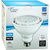 1500 Lumens - 18 Watt - 5000 Kelvin - LED PAR38 Lamp Thumbnail