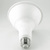 Natural Light - 1170 Lumens - 17 Watt  - 5000 Kelvin - LED PAR38 Lamp Thumbnail