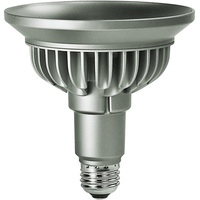 SP38 VIVID PAR38 E26