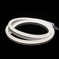 150 ft. Spool - Flexible LED Neon Rope Light - Daylight White - 120 Volt