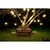 100 ft. Patio String Lights - S14 - Black Wire - 48 Sockets Thumbnail