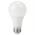 LED A19 - 9 Watt - 60 Watt Equal - Daylight White Thumbnail