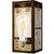 LED Edison Bulb - Vertical Filament - 5 Watt Thumbnail