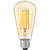 LED Edison Bulb - Color Matched For Incandescent Replacement Thumbnail