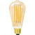 LED Edison Bulb - Color Matched For Incandescent Replacement Thumbnail