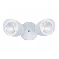 LED Flood light