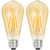 LED Edison Bulb - Color Matched For Incandescent Replacement Thumbnail